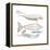 Dugong (Dugong Dugon), Mammals-Encyclopaedia Britannica-Framed Stretched Canvas