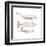 Dugong (Dugong Dugon), Mammals-Encyclopaedia Britannica-Framed Art Print