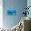 Dugong-Louise Murray-Photographic Print displayed on a wall