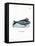 Dugong-null-Framed Premier Image Canvas