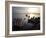 Dugout Canoes on the Congo River, Yangambi, Democratic Republic of Congo, Africa-Andrew Mcconnell-Framed Photographic Print