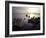 Dugout Canoes on the Congo River, Yangambi, Democratic Republic of Congo, Africa-Andrew Mcconnell-Framed Photographic Print