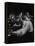 Duke Ellington Playing Sophisticated Lady at Jam Session-Gjon Mili-Framed Premier Image Canvas