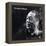 Duke Ellington - The Intimate Ellington-null-Framed Stretched Canvas
