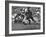 Duke Football Players Tackling the Other Team Players During a Game-null-Framed Photographic Print