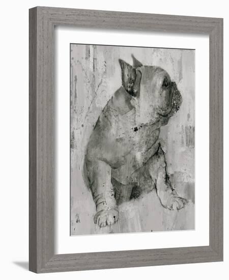 Duke in Grey Tones-Albena Hristova-Framed Art Print