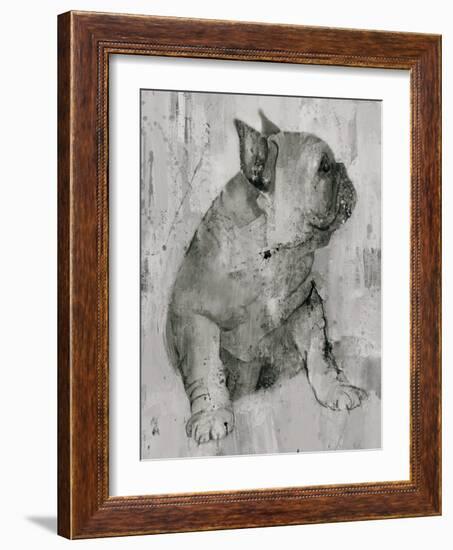 Duke in Grey Tones-Albena Hristova-Framed Art Print