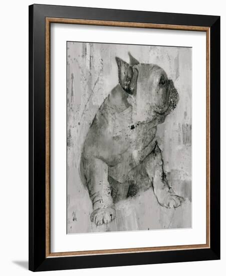 Duke in Grey Tones-Albena Hristova-Framed Art Print