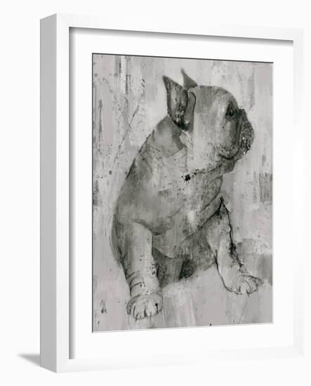 Duke in Grey Tones-Albena Hristova-Framed Art Print