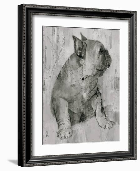 Duke in Grey Tones-Albena Hristova-Framed Art Print