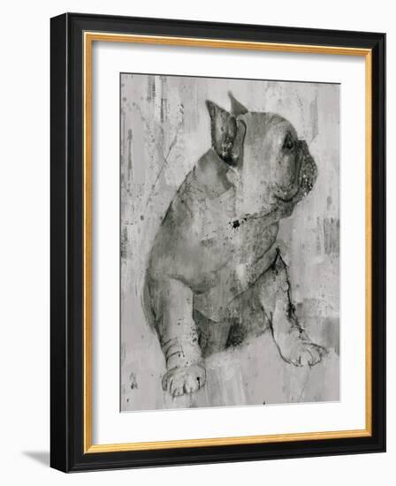 Duke in Grey Tones-Albena Hristova-Framed Art Print