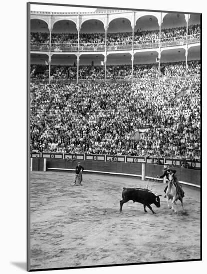 Duke of Pinohermoso, bullfighter,during a fight in Madrid's bull ring.-Erich Lessing-Mounted Photographic Print