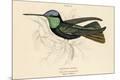 Premium Giclee Print