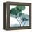 Dull Eucalyptus Mate-Albert Koetsier-Framed Stretched Canvas