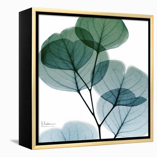 Dull Eucalyptus Mate-Albert Koetsier-Framed Stretched Canvas