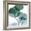 Dull Eucalyptus Mate-Albert Koetsier-Framed Premium Giclee Print