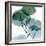 Dull Eucalyptus Mate-Albert Koetsier-Framed Premium Giclee Print