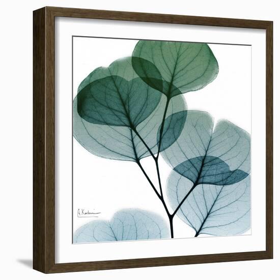 Dull Eucalyptus Mate-Albert Koetsier-Framed Premium Giclee Print