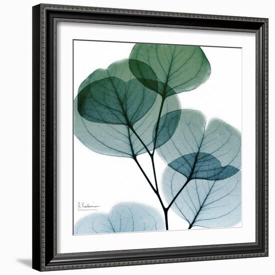 Dull Eucalyptus Mate-Albert Koetsier-Framed Premium Giclee Print