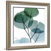 Dull Eucalyptus Mate-Albert Koetsier-Framed Art Print
