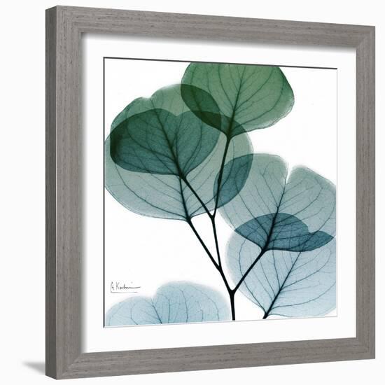 Dull Eucalyptus Mate-Albert Koetsier-Framed Art Print