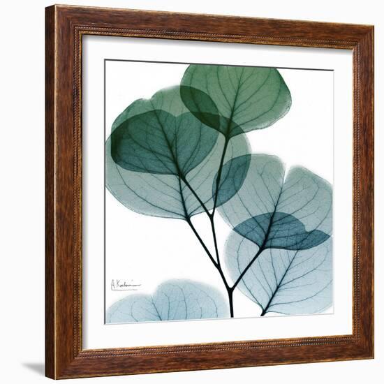 Dull Eucalyptus Mate-Albert Koetsier-Framed Art Print