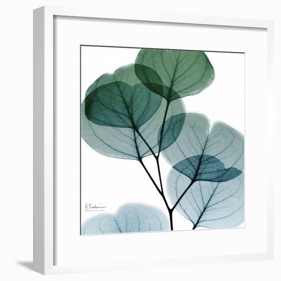 Dull Eucalyptus Mate-Albert Koetsier-Framed Art Print