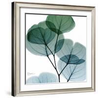 Dull Eucalyptus Mate-Albert Koetsier-Framed Art Print