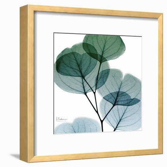 Dull Eucalyptus Mate-Albert Koetsier-Framed Art Print