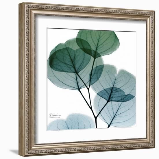 Dull Eucalyptus Mate-Albert Koetsier-Framed Art Print