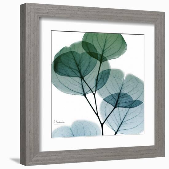 Dull Eucalyptus Mate-Albert Koetsier-Framed Art Print