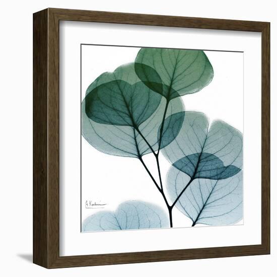 Dull Eucalyptus Mate-Albert Koetsier-Framed Art Print