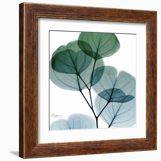 Dull Eucalyptus Mate-Albert Koetsier-Framed Art Print