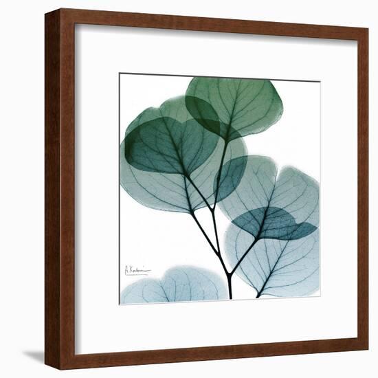 Dull Eucalyptus Mate-Albert Koetsier-Framed Art Print