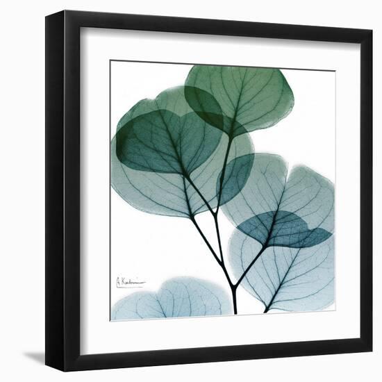 Dull Eucalyptus Mate-Albert Koetsier-Framed Art Print