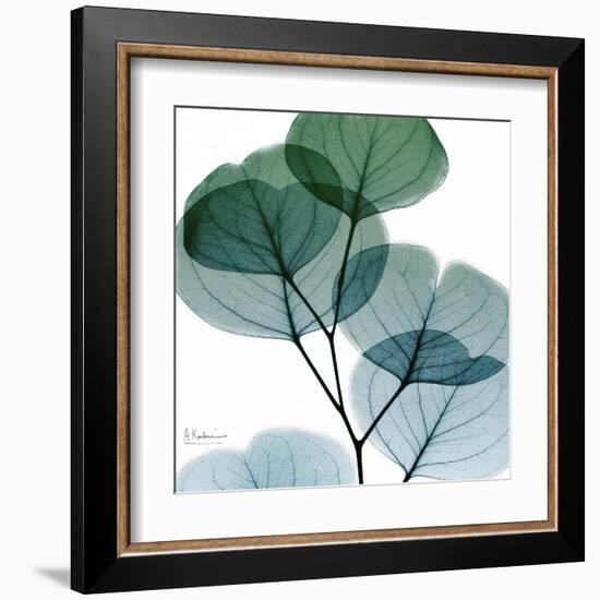 Dull Eucalyptus Mate-Albert Koetsier-Framed Art Print