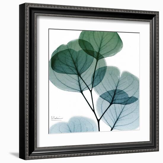 Dull Eucalyptus Mate-Albert Koetsier-Framed Art Print