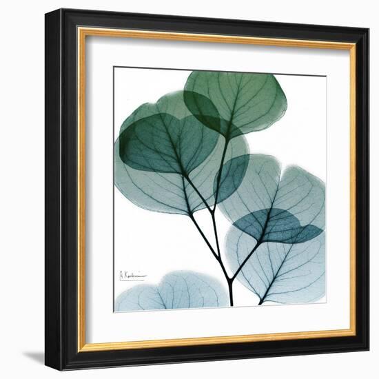 Dull Eucalyptus Mate-Albert Koetsier-Framed Art Print