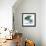 Dull Eucalyptus Mate-Albert Koetsier-Framed Art Print displayed on a wall