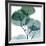 Dull Eucalyptus Mate-Albert Koetsier-Framed Art Print