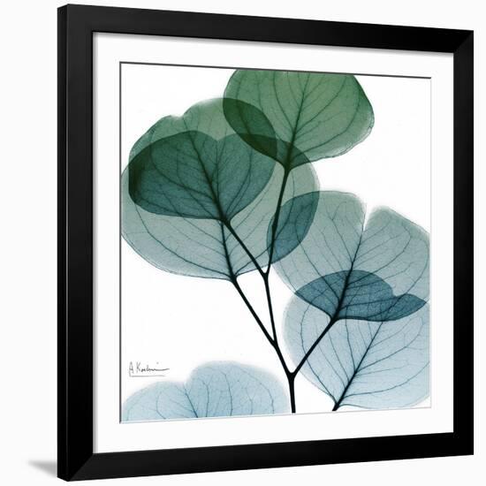 Dull Eucalyptus Mate-Albert Koetsier-Framed Art Print