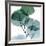 Dull Eucalyptus Mate-Albert Koetsier-Framed Art Print