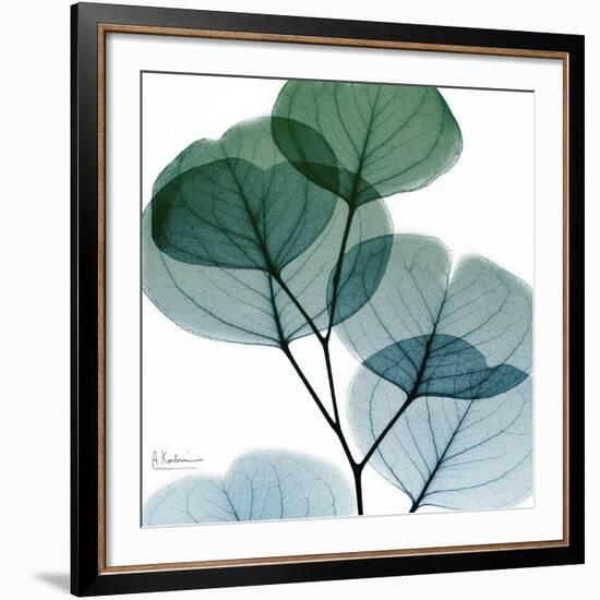 Dull Eucalyptus Mate-Albert Koetsier-Framed Art Print