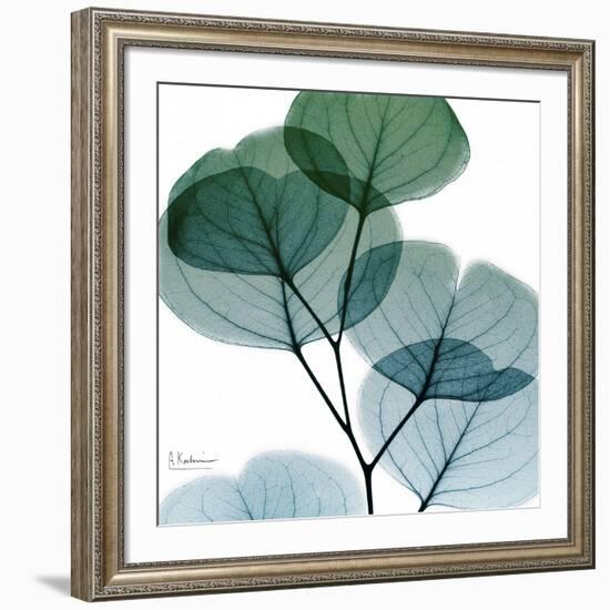 Dull Eucalyptus Mate-Albert Koetsier-Framed Art Print