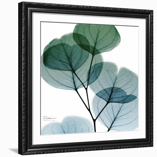 Dull Eucalyptus Mate-Albert Koetsier-Framed Art Print