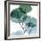 Dull Eucalyptus Mate-Albert Koetsier-Framed Art Print