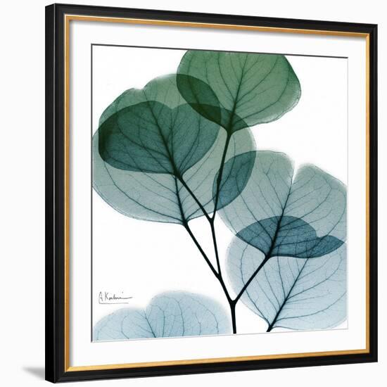 Dull Eucalyptus Mate-Albert Koetsier-Framed Art Print