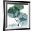 Dull Eucalyptus Mate-Albert Koetsier-Framed Giclee Print