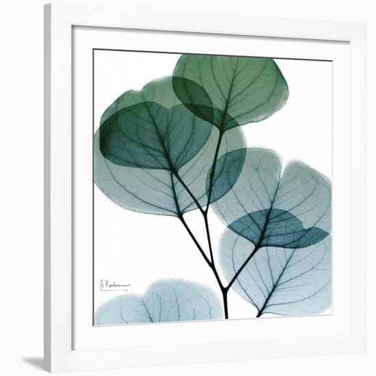 Dull Eucalyptus Mate-Albert Koetsier-Framed Giclee Print