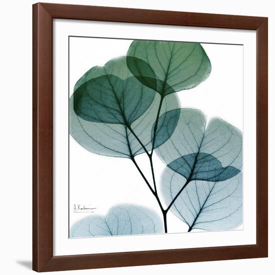 Dull Eucalyptus Mate-Albert Koetsier-Framed Giclee Print